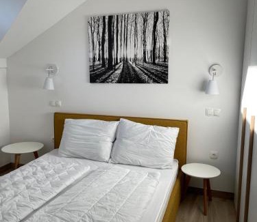 Mozirje Apartamento | Sunshine Apartments Golte C1