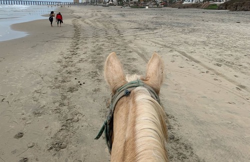 Rosarito Alquiler De RV | Super Cool Ocean View Camping