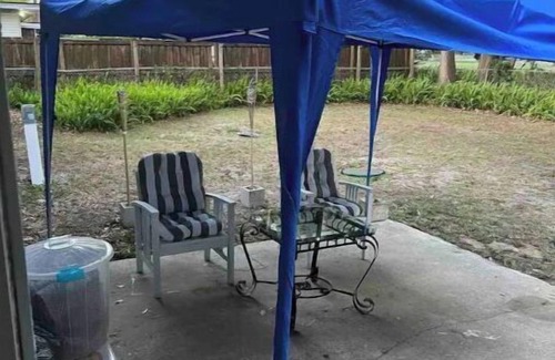 Carrollwood Casa | Super cozy home away in Tampa