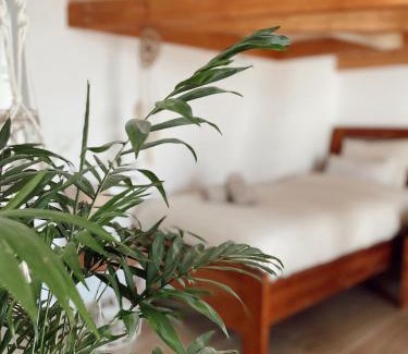 La Oliva Complejo | Surf & Yoga Retreats Fuerteventura