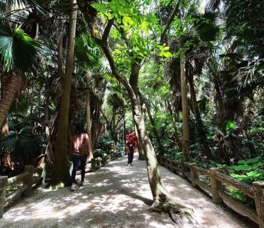 Miyazaki Casa | Surftown Retreat