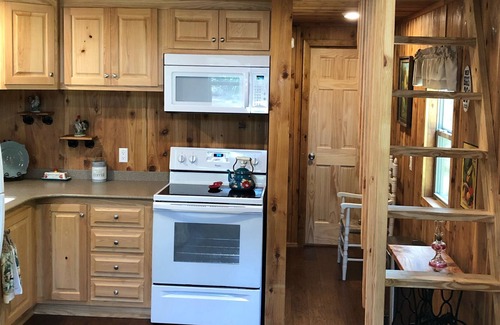 Mayo Cabina | El río Suwannee escondido