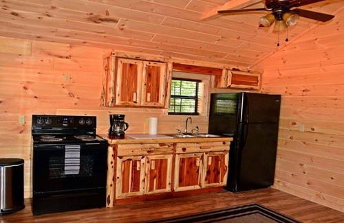 Buchanan Casa | Cabañas Swan Bay & RV Park Cabin # (4) Paris Tn, Lago Kentucky