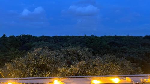 Ejipura Apartamento | Swargaa Fireflies Duo