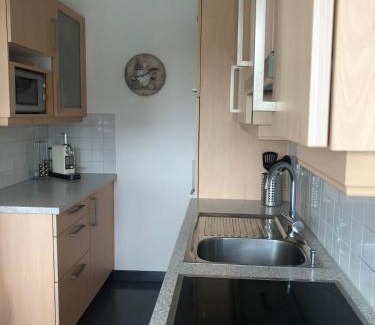 Leysin Apartamento | Swiss Mountains