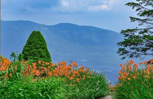 Little Switzerland Hotel | Switzerland Inn