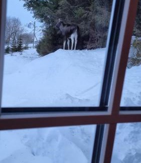 Barstrand Casa | Sydalen house
