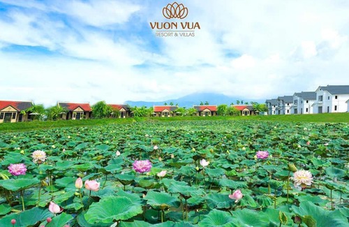 Viet Tri Apartamento | Tắm khoáng Onsen mineral bath, Vuon Vua, Thanh Thuy, Phu Tho