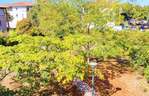 Chateau de l'Hers Apartamento | T2 Swimming pool, tennis, near Airbus space, clinic and city of space