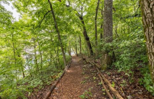 Shell Knob Casa | Table Rock Lake Cabin - Hawthorn #12 with Lake Access Hot Tub Outdoor Pool
