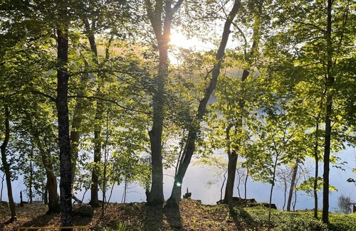 Golden Casa | Table Rock Lake Lakefront, Easy Walkdown, Very Quiet, Newly Renovated
