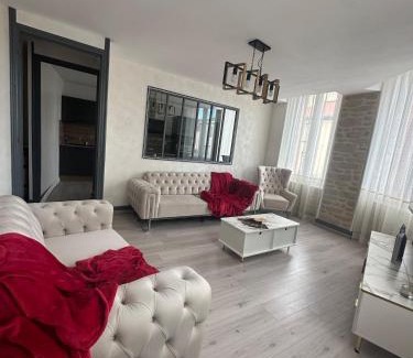 Tain-l'Hermitage Apartamento | Tain centre -T3- wine themed apartment