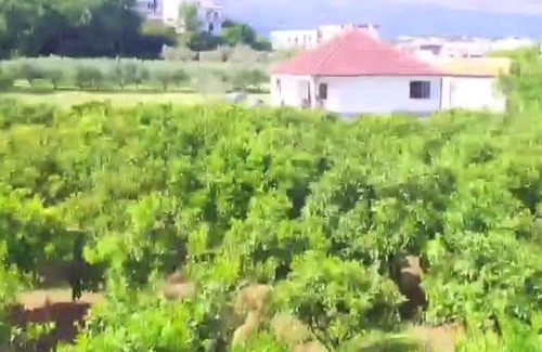 Gjerana Villa | Tangerine terrace