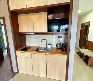 Velka Lomnica Apartamento | Tatragolf Apartment K202