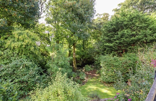 Sticklepath Cabaña | Taw River View