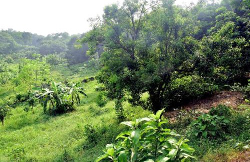 Maulvi Bazar Complejo | Tea Heaven Eco Cottage