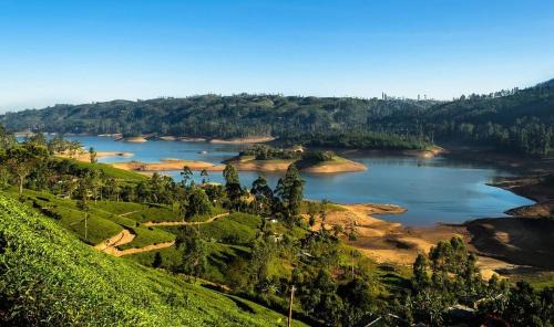 Hatton Villa | Tea Leaf Guest House Castlereagh