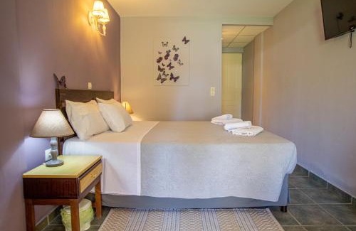 Messonghi Cama Y Desayuno | Tellis Holiday Rooms