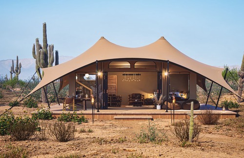 Marana Complejo | Tent Cholla