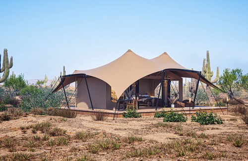 Marana Casa | Tent Saguaro