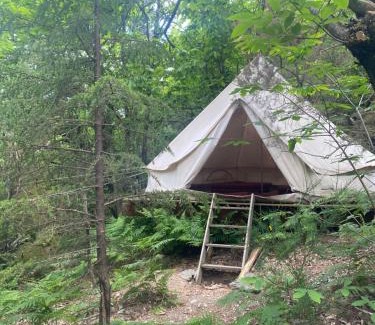 Dompnac Otro | Tente tipi en forêt de châtaigniers