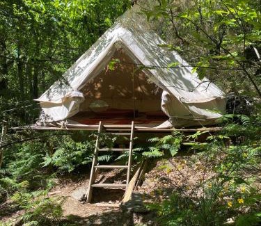 Dompnac Otro | Tente tipi en forêt de châtaigniers