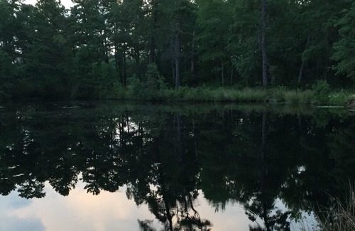 Birmingham Alquiler De RV | Tentrr - Escapada a Pinelands