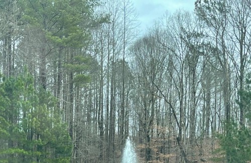 Ellijay Alquiler De RV | Tentrr Signature Site - Milford Dogwood Blue Ridge Mountains with electricity/AC