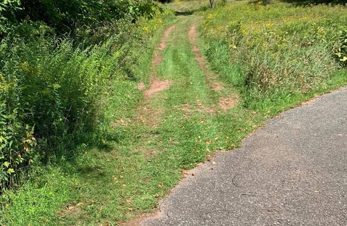 Windham Alquiler De RV | Tentrr - Pleasant Valley Maplecroft Camp