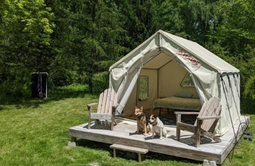 Walden Otro | Tentrr Signature Site - Pastoral Paradise on 42-Acre Farm Close to NYC
