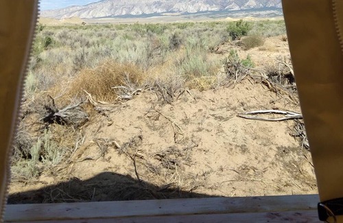 Dinosaur Alquiler De RV | Tentrr Signature Site - The Permaculture Paradise Ranchette