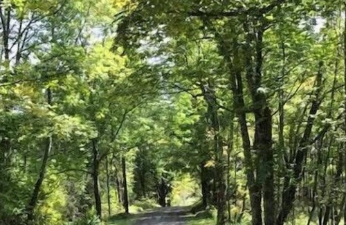 Worcester Alquiler De RV | Tentrr - Little Farm en la Dell