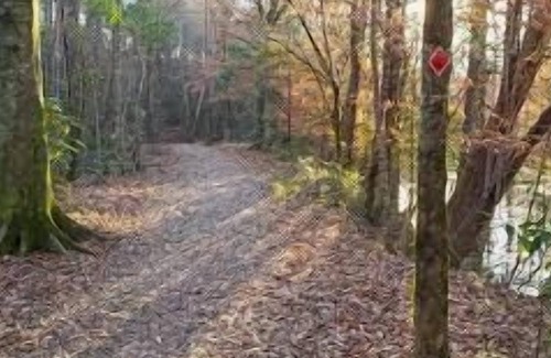Talisheek Alquiler De RV | Tentrr State Park Site - Louisiana Bogue Chitto State Park - Bike Trail K - Sing