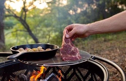 Holly Springs Otro | Tentrr State Park Site - Mississippi Wall Doxey State Park - Fresh Field H - Single Camp