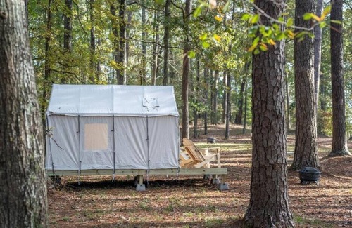 Morton Alquiler De RV | Tentrr State Park Site - Mississippi Roosevelt State Park - Tall Trees C - Singl