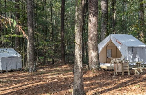 Morton Alquiler De RV | Tentrr State Park Site - Mississippi Roosevelt State Park - Tall Trees C - Singl
