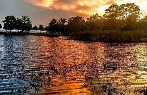 Mandeville Alquiler De RV | Tentrr State Park Site - Louisiana Fontainebleau State Park - Pond View D - Sing