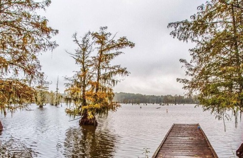 Saint Landry Alquiler De RV | Tentrr State Park Site - Louisiana Chicot State Park - Site E - Single Camp