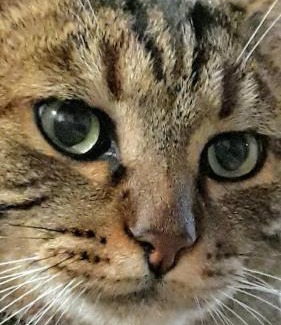 Montefalco Casa | Tenuta Colverano