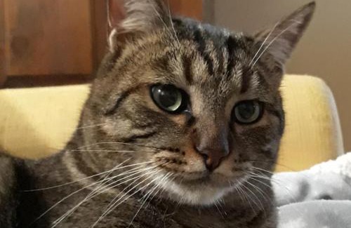 Montefalco Casa | Tenuta Colverano