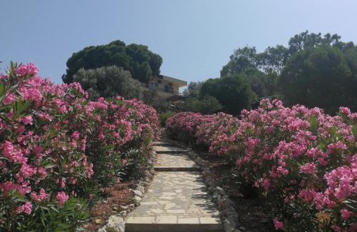 Foca Casa | Teras Motel