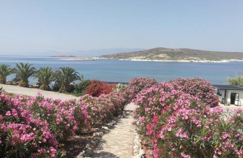 Foca Casa | Teras Motel