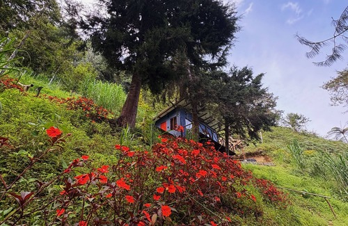 Floridablanca Cabina | Terrific cabin in Floridablanca, Santander, Colombia!