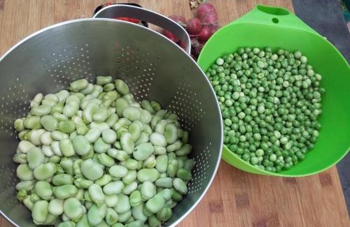 Ecurey-en-Verdunois Cama Y Desayuno | terroir de familles