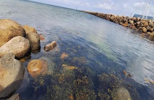 Bogense Apartamento | Test Property 4 person holiday home on a holiday park in Bogense