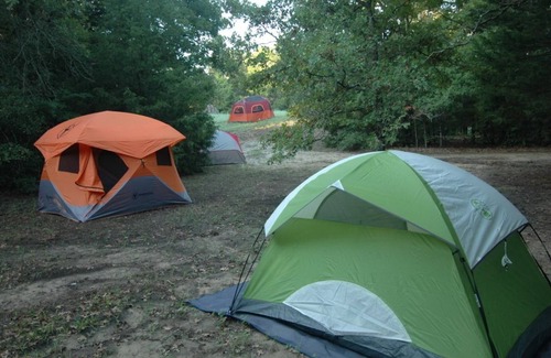 Elmo Alquiler De RV | Texas Safari Camp-Tent & Tree House Retreat