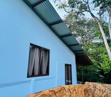 Los Ángeles Otro | Teyú Green Cottage