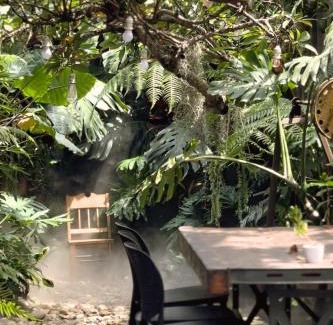 Bao Loc Casa | Thỏ Non Garden - Bảo Lộc Center 02