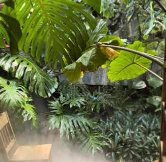 Bao Loc Casa | Thỏ Non Garden - Bảo Lộc Center 02