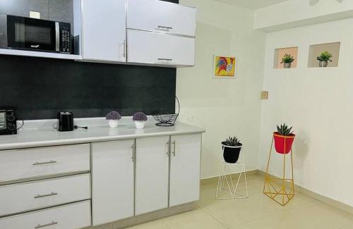 Roma Sur Apartamento | TH Lindo departamento en calle Tehuantepec Roma